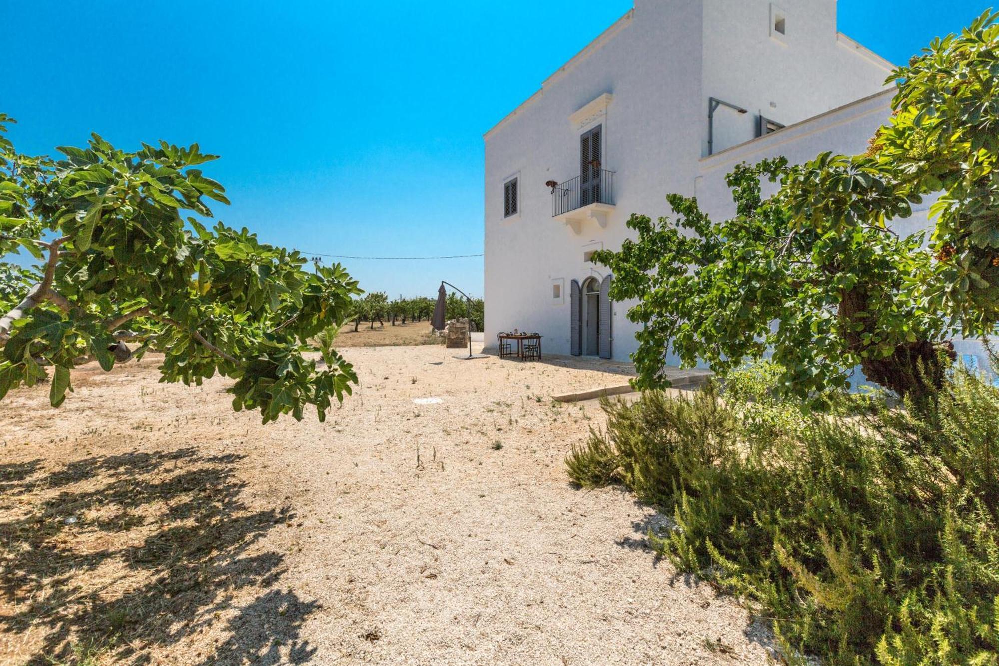 Masseria Marcantonio By Barbarhouse *