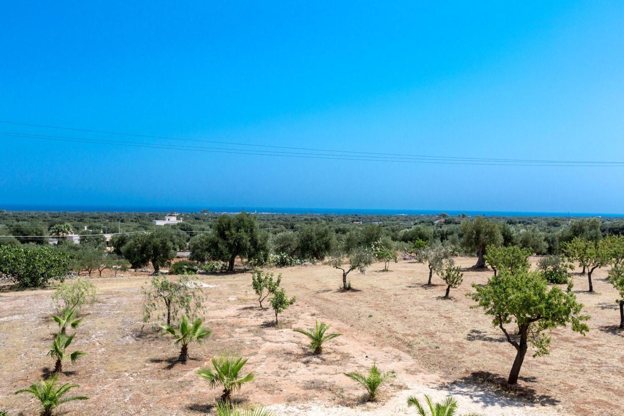 Holiday home Masseria Marcantonio By Barbarhouse Torre Canne